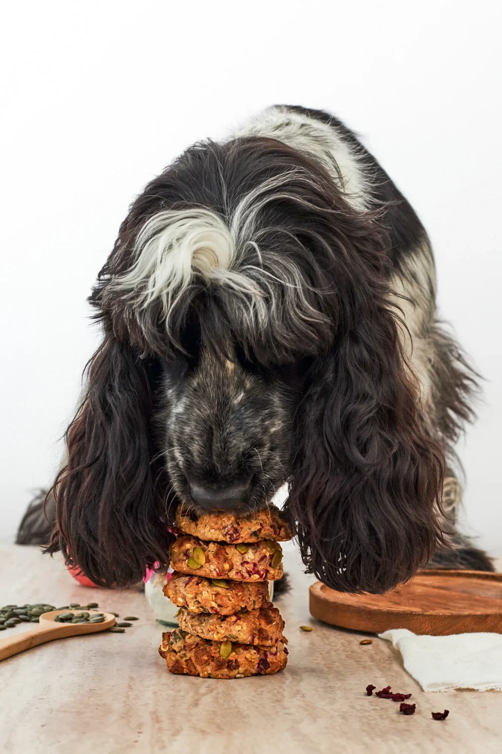 Pineut Dognuts preparato per dolci per cani - immagine 3